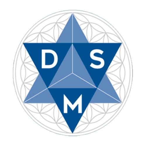 DSM SECURITY LOGO PNG